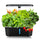 Smart Hydroponic Indoor Grow Station - CJYL214014702BYatHome Improvements & ToolsatJ&M E - HyperMart