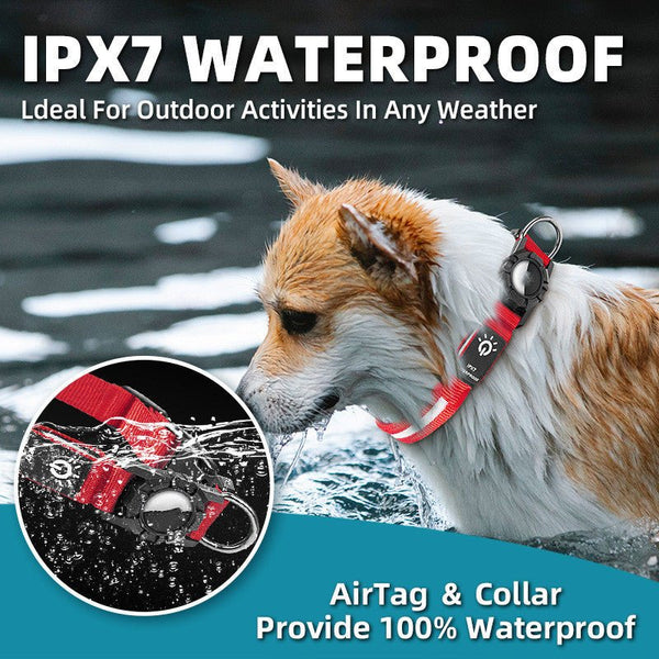 GlowTrack LED Waterproof Pet Collar