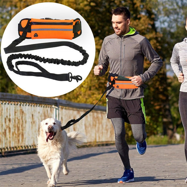 Hands-Free Dog Walk Belt Pouch
