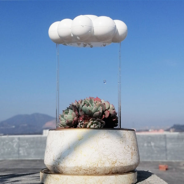 Gentle Rain Cloud Plant Waterer